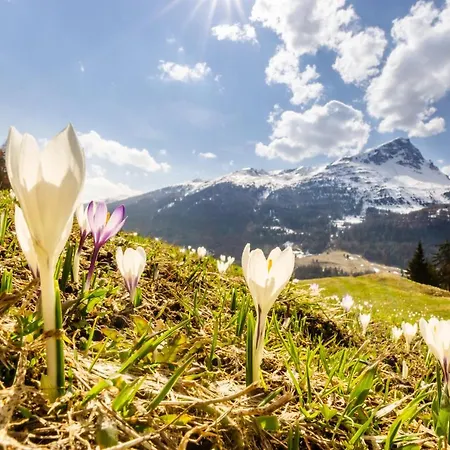 Heimatliebe * Nauders