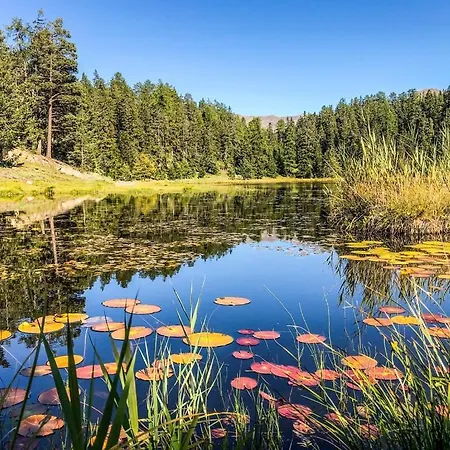Heimatliebe Lägenhet Nauders