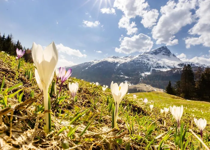 Heimatliebe * Nauders