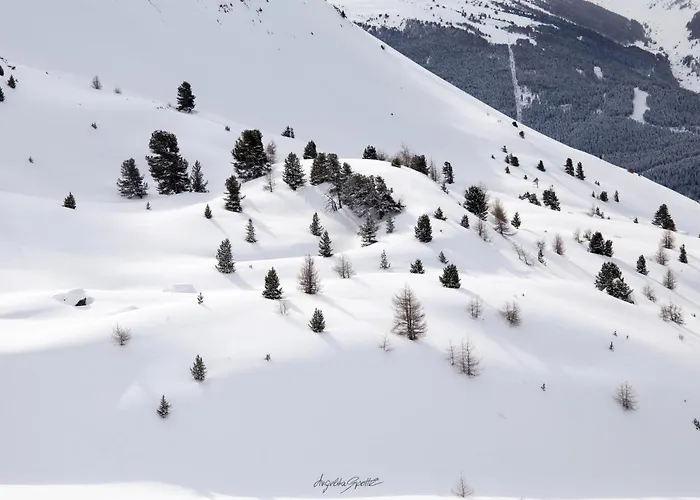 Heimatliebe * ナウダース