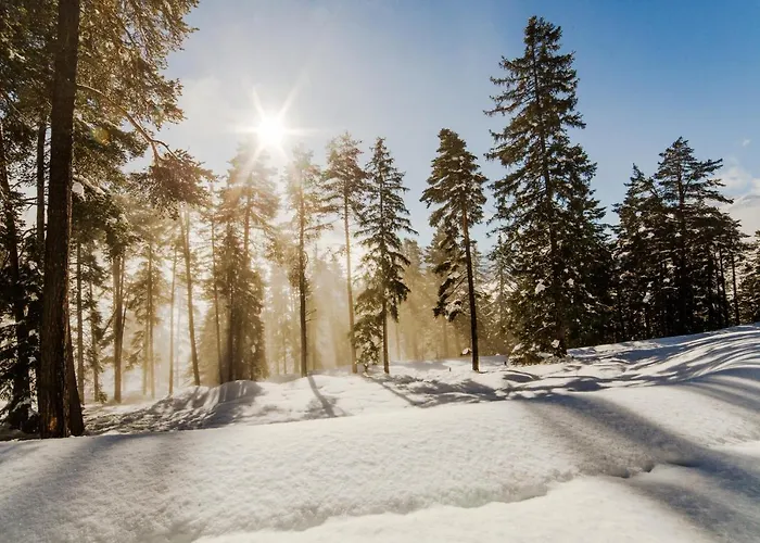 Heimatliebe * Nauders